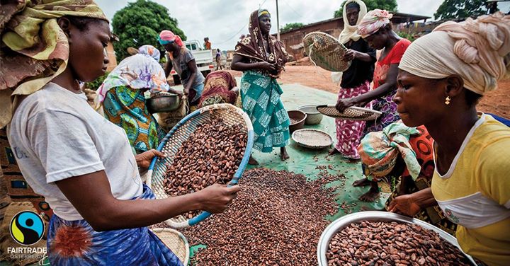 FAIRTRADE-Kakaokooperativen sind demokratisch organisiert. Dies bringt viele Vor...